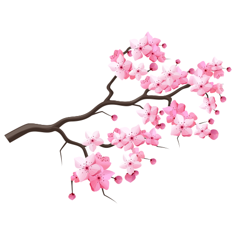 В2 дахь зургийг идэвхжүүлээрэй.