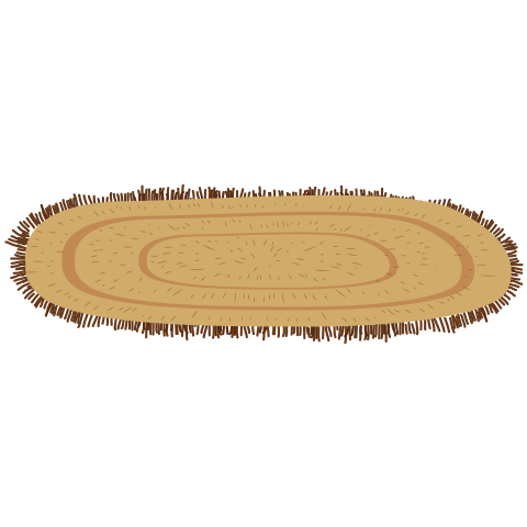 А5 дахь зургийг идэвхжүүлээрэй.