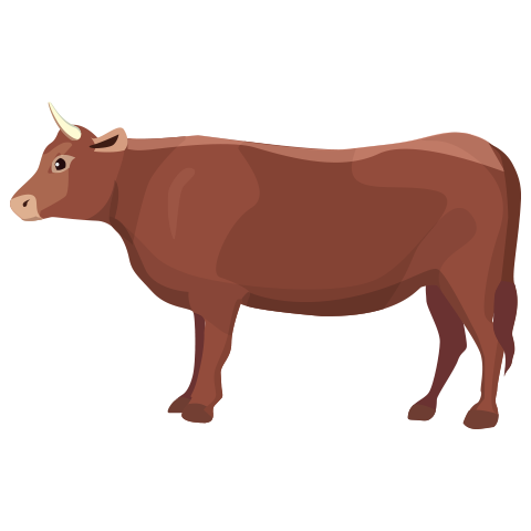 А5 дахь зургийг идэвхжүүлээрэй.