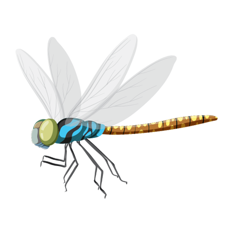 В2 дахь зургийг идэвхжүүлээрэй.