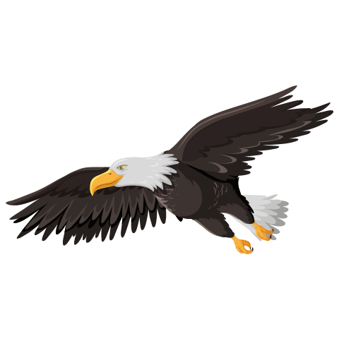 А2 дахь зургийг идэвхжүүлээрэй.