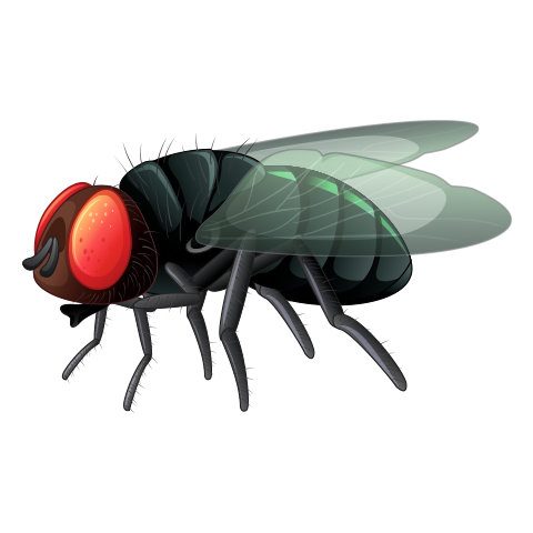 А2 дахь зургийг идэвхжүүлээрэй.