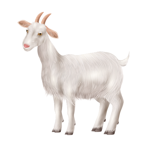 А2 дахь зургийг идэвхжүүлээрэй.