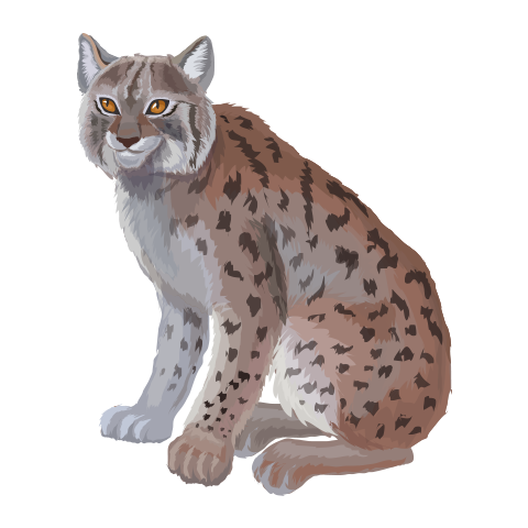 В2 дахь зургийг идэвхжүүлээрэй.