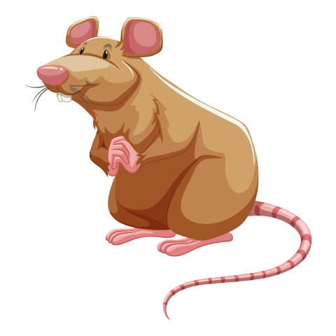 А2 дахь зургийг идэвхжүүлээрэй.