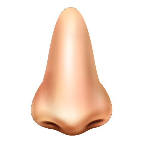 А5 дахь зургийг идэвхжүүлээрэй.