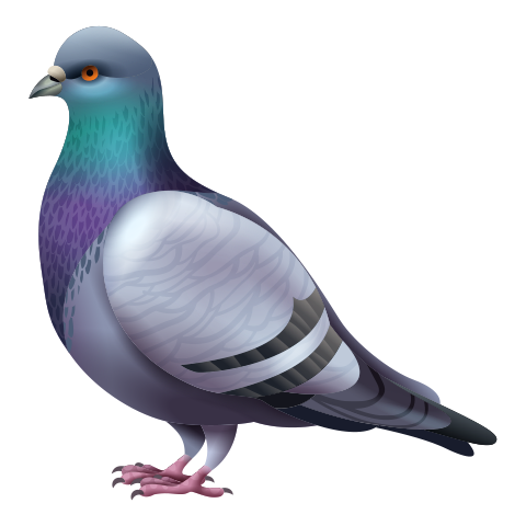 В2 дахь зургийг идэвхжүүлээрэй.